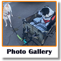 Photo Gallery