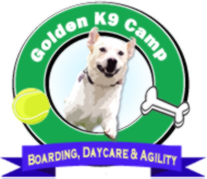 Golden K9 Camp